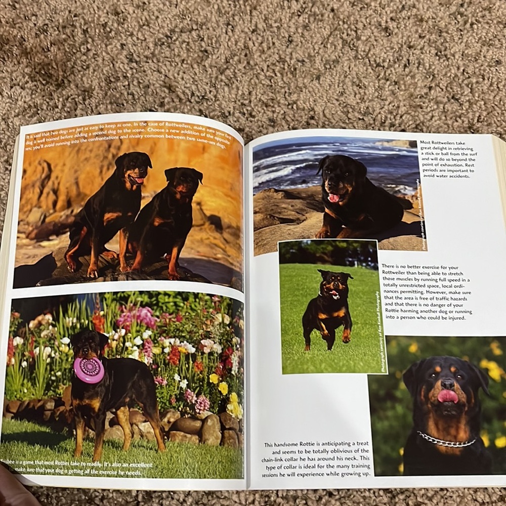 ✨ Host Pick✨ 2 Rottweiler books. - Picture 11 of 13